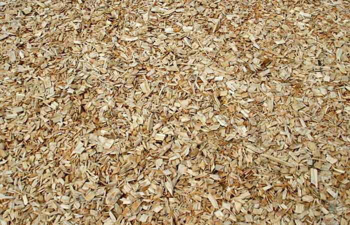 Aspen Shavings for snake bedding